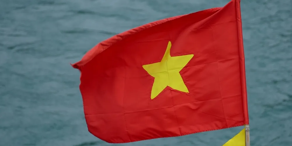 Abertura de mercado para miúdos bovinos no Vietnã amplia o leque de produtos nacionais em um dos maiores compradores de alimentos do mundo