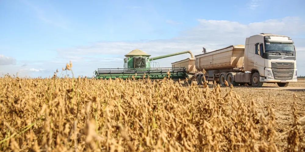 O Brasil consolida sua posição como líder global no comércio de soja, equilibrando a exportação recorde de grãos com o fortalecimento do processamento industrial interno