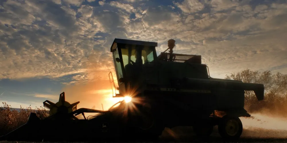 Colheita de soja no Brasil chega a 75% da área total, impulsionada por bons rendimentos no Centro-Oeste que elevam a projeção nacional