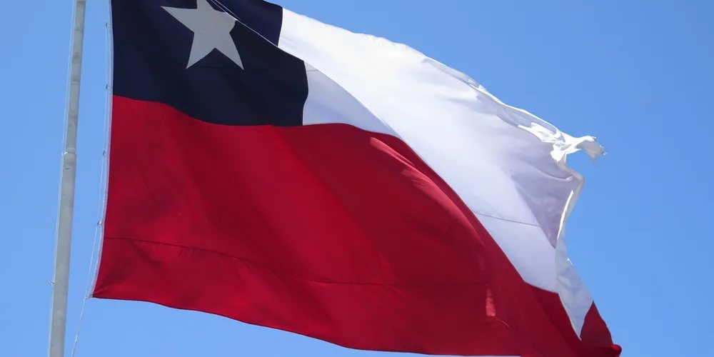 Subprodutos da indústria de etanol de milho ganham espaço no mercado chileno como insumo de alta qualidade para ração animal