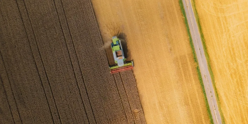 Colheita de soja avança no Brasil com produtividade recorde, sustentando o otimismo do mercado exportador apesar de desafios climáticos no Sul