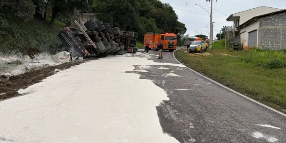 De acordo com equipe da Defesa Civil, o caminhão teria tido um pneu estourado ao entrar na curva, o que teria feito o veículo tombar na rodovia