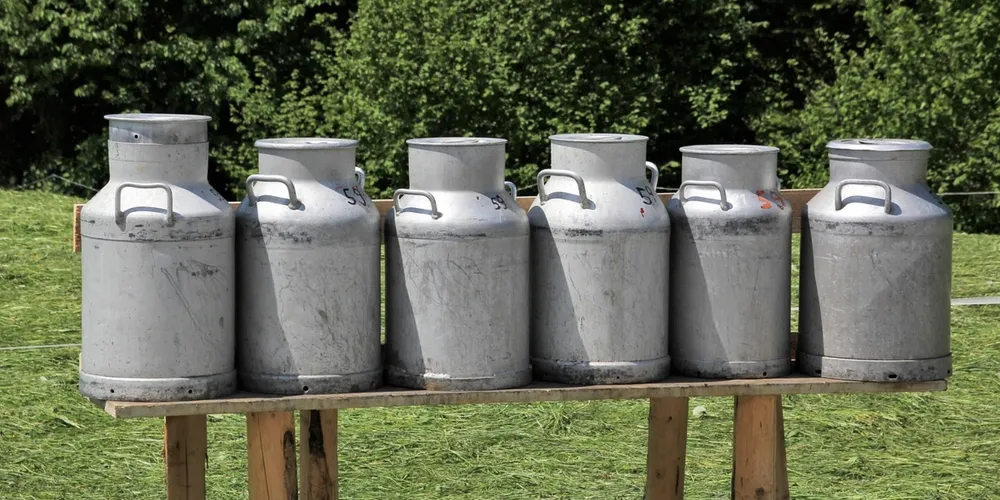 Sistema de confinamento em fazenda dos Campos Gerais ilustra o avanço tecnológico e a busca por eficiência que colocam o Paraná no topo da produção leiteira nacional