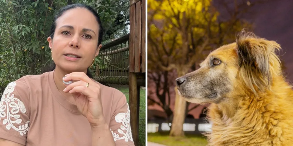 A médica veterinária e conselheira de bem-estar animal do Grupo aRede, Érika Zanoni, e um cão comunitário da Universidade Estadual de Ponta Grossa (UEPG)