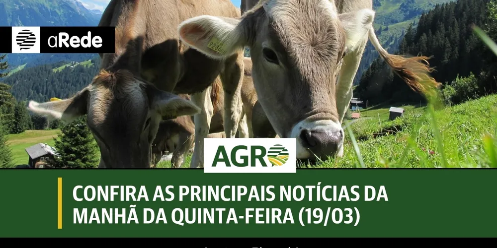 Imagem ilustrativa da imagem Confira as principais notícias da manhã da quinta-feira (19/03)