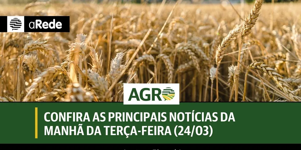 Imagem ilustrativa da imagem Confira as principais notícias da manhã da terça-feira (24/03)