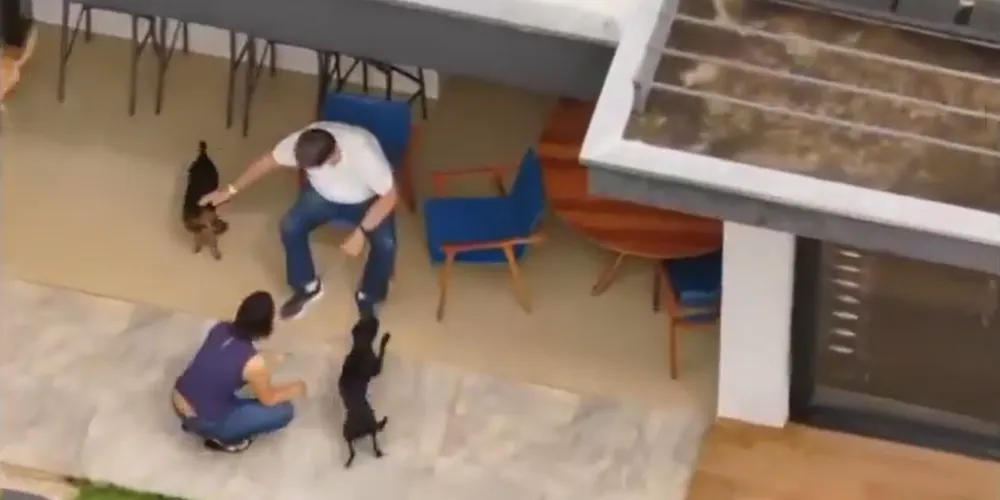 Jair Bolsonaro e Michelle Bolsonaro brincam com os cachorros na área externa da casa