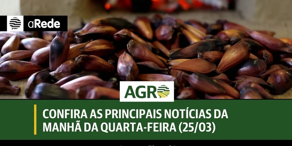 Imagem ilustrativa da imagem Confira as principais notícias da manhã da quarta-feira (25/03)