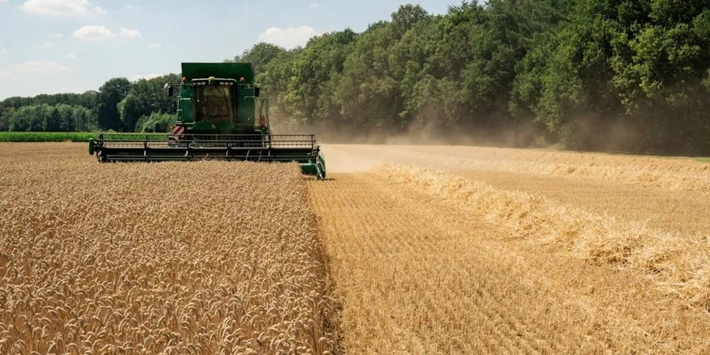 Monitoramento via satélite tornou-se peça central na análise de risco socioambiental dos bancos, mas produtores alegam que a falta de análise humana prévia gera punições injustas