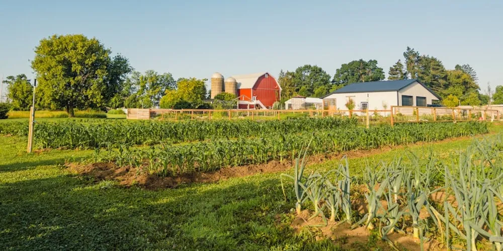 Redução da área segurada no Brasil encarece apólices e deixa produtores mais expostos a riscos climáticos severos