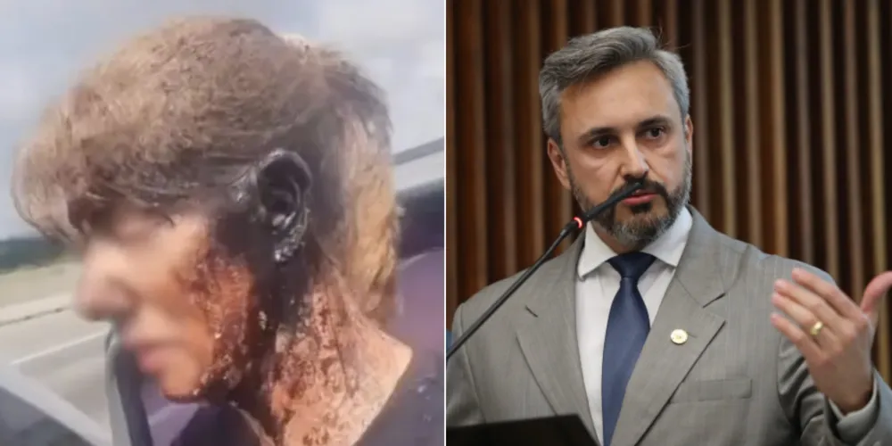 Documento foi protocolado na Assembleia Legislativa do Paraná (Alep)