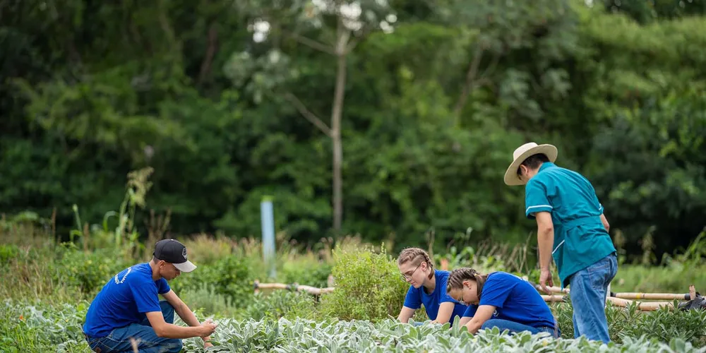 Os recursos gerados pela pecuária e pela agricultura são integralmente reinvestidos na própria instituição