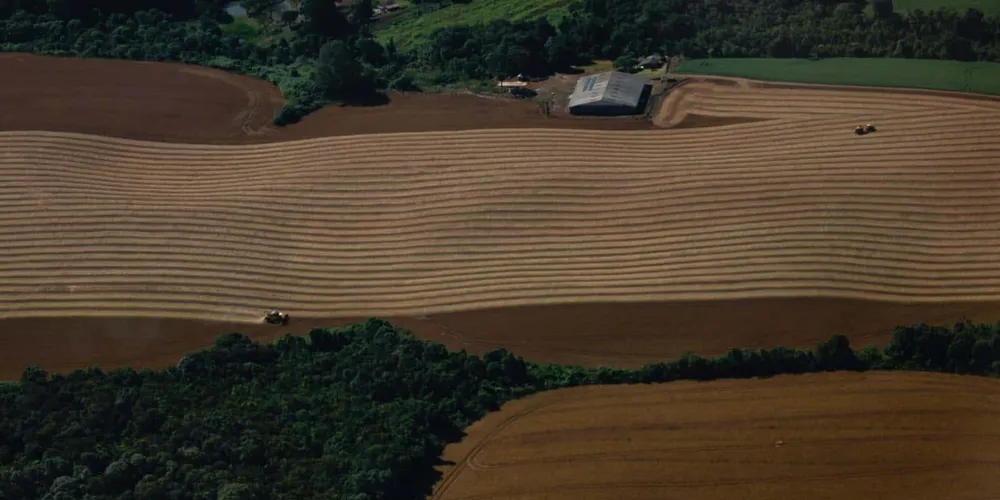 Máquinas avançam sobre os 18% restantes da área de soja no Paraná; Estado projeta colher quase 22 milhões de toneladas nesta safra