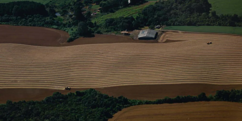 A produção estimada da safra de verão 2025-2026 da soja é estimada em 21,88 milhões de toneladas