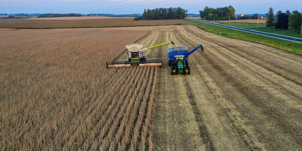Soja supera obstáculos climáticos de março e mantém qualidade superior na reta final da colheita