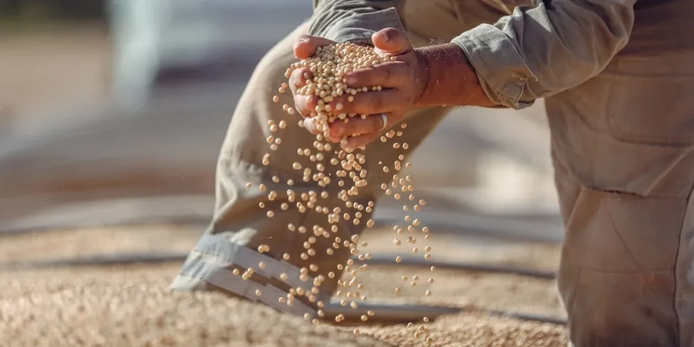 No Paraná, trabalhos de campo já alcançam 60% do território cultivado