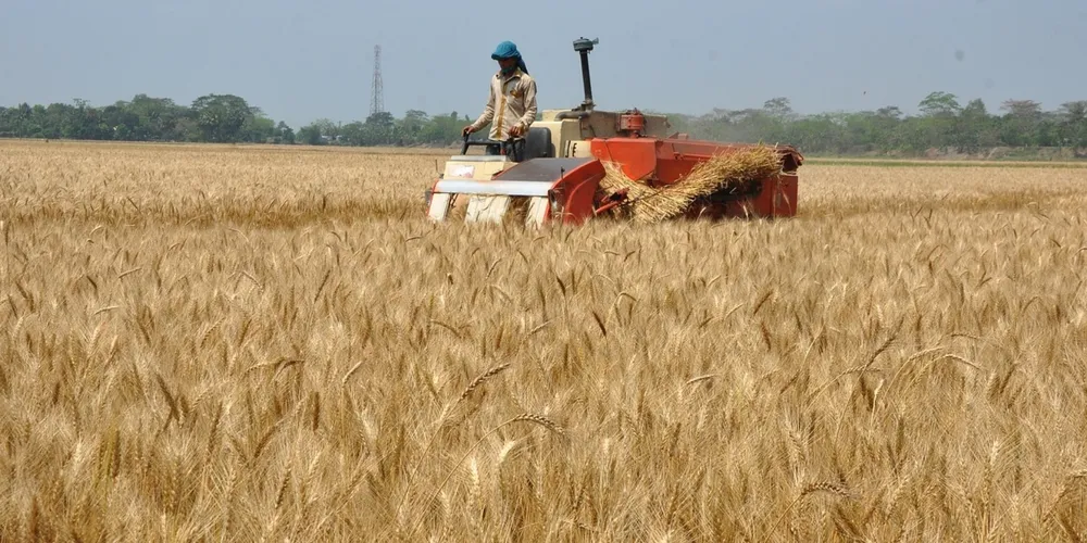 Novos cursos da Conab visam capacitar produtores para acessar mercados institucionais e melhorar a administração de seus negócios