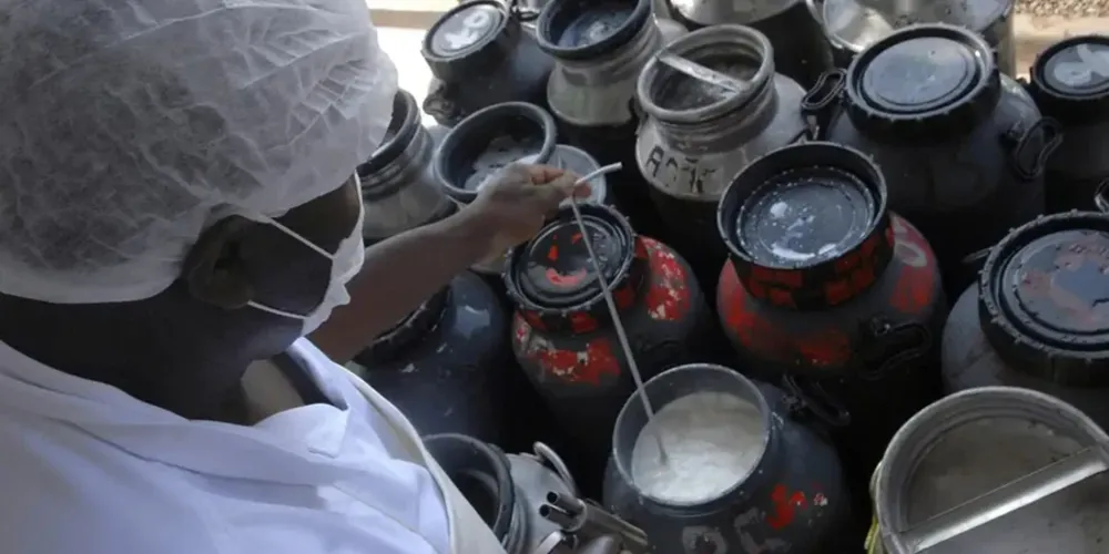 Com as mudanças, essas cooperativas poderão contratar empréstimos para capital de giro até 30 de junho