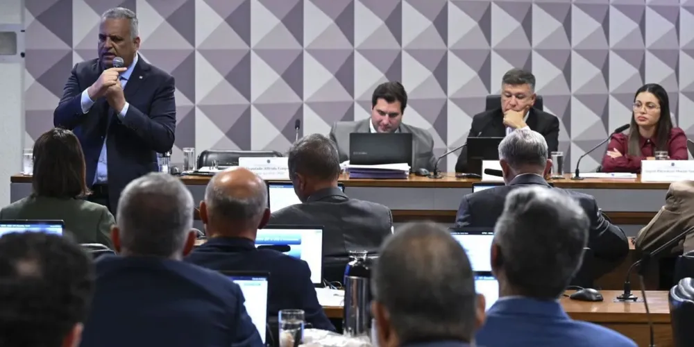 Depoimento da empresária Ingrid Pikinskeni à CPMI do INSS