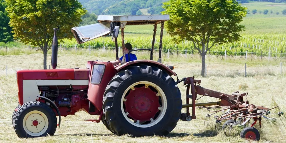 Agências de checagem profissional atuam para desmentir vídeos virais que utilizam imagens fora de contexto para gerar pânico sobre o desabastecimento de alimentos no Brasil