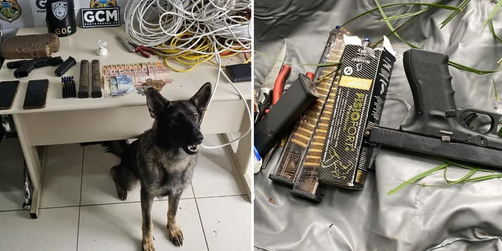 Os materiais foram apreendidos