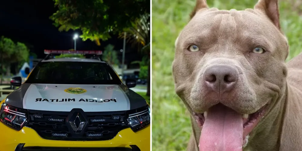 Imagens ilustrativas