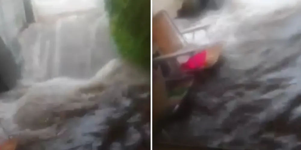 A moradora relata que sua filha já foi mordida por um escorpião e ficou em estado grave