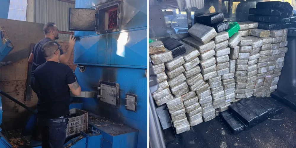 Denúncias podem ser realizadas de forma anônima pelos canais oficiais