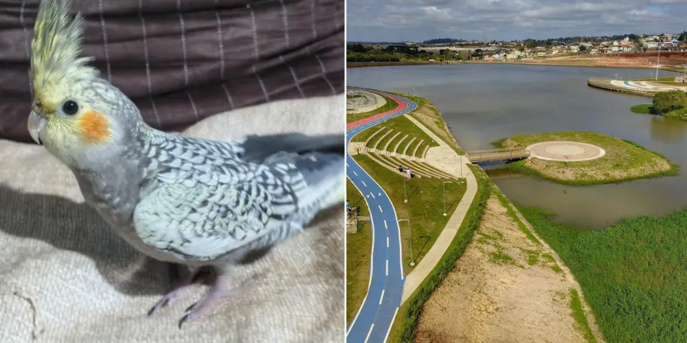 Arrasca fugiu na manhã de domingo (8) nas proximidades do Lago de Olarias