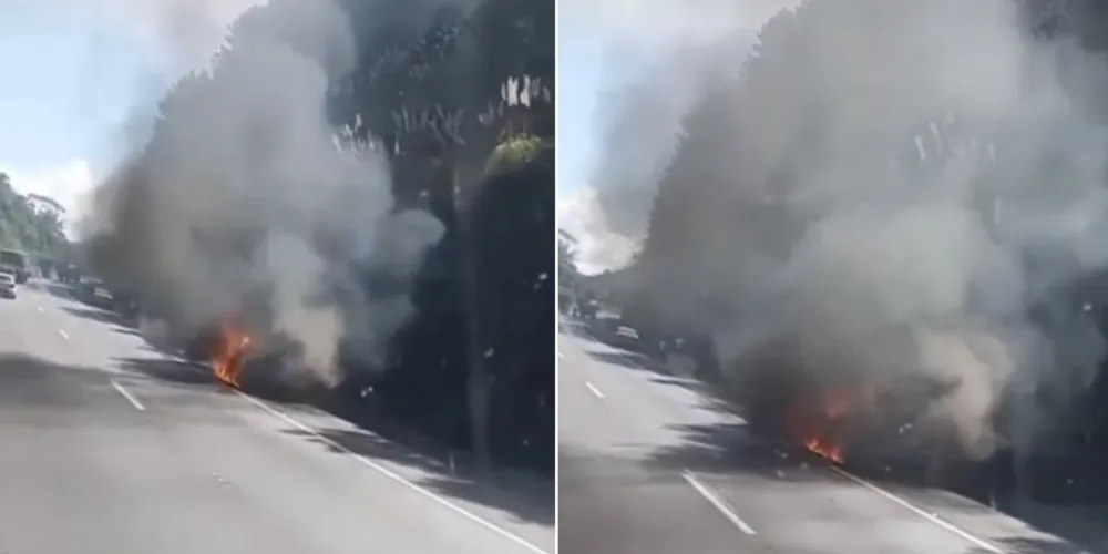 Equipes da concessionária responsável pela rodovia foram acionadas para prestar atendimento no local