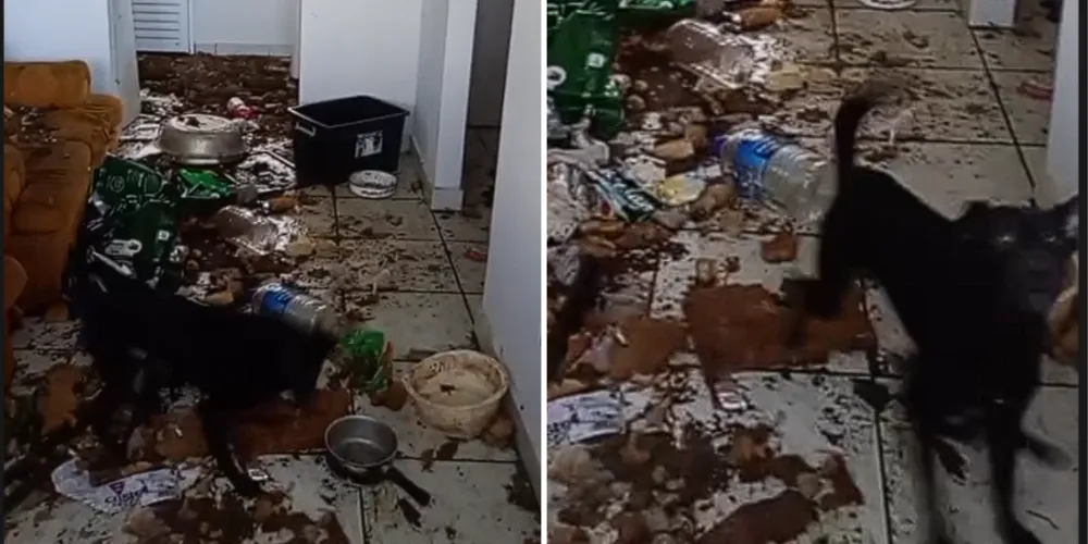 Moradores afirmam que denúncias já foram tentadas, mas a situação persiste