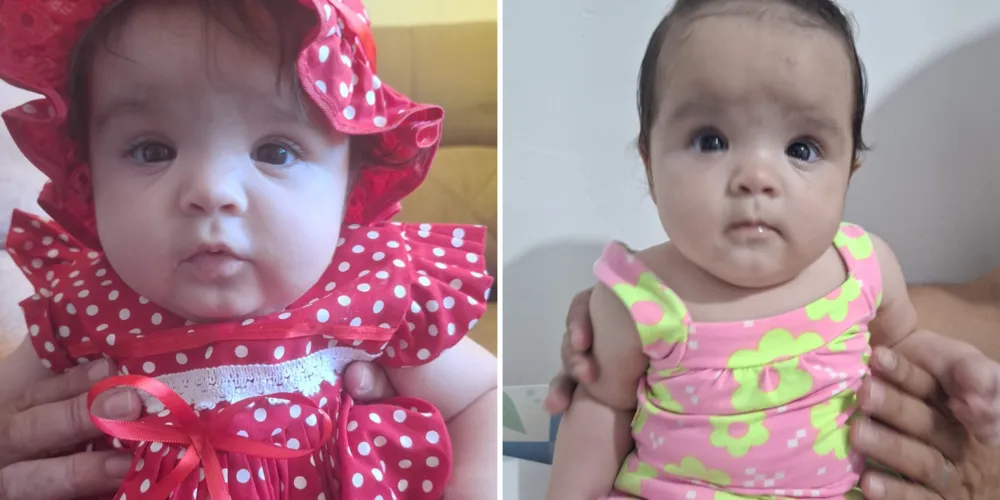 As publicações mostram momentos do dia a dia e têm encantado os internautas