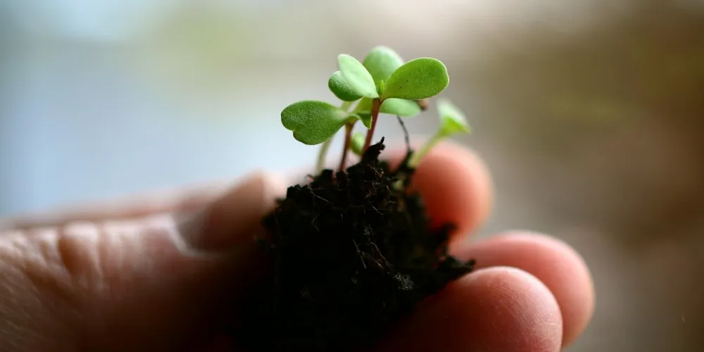 Lançamento ocorre durante as celebrações de 51 anos da unidade em Londrina