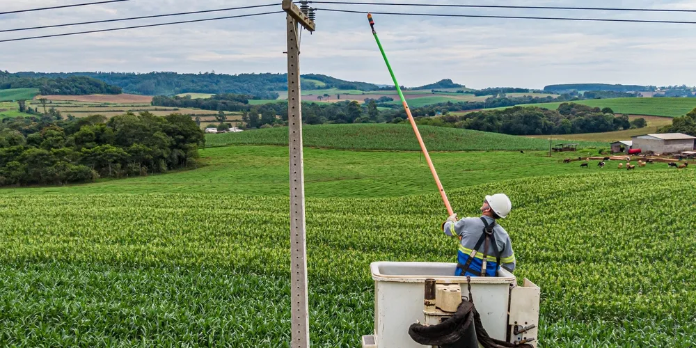 Qualidade do fornecimento elétrico é vital para manter a climatização de aviários de alta tecnologia e o funcionamento das linhas de abate nas agroindústrias do Paraná