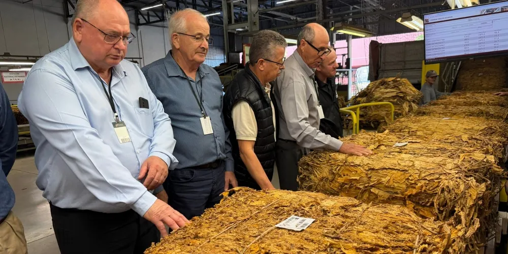 Entidades recomendam rigor na separação das classes para garantir que o produto alcance o valor máximo de mercado