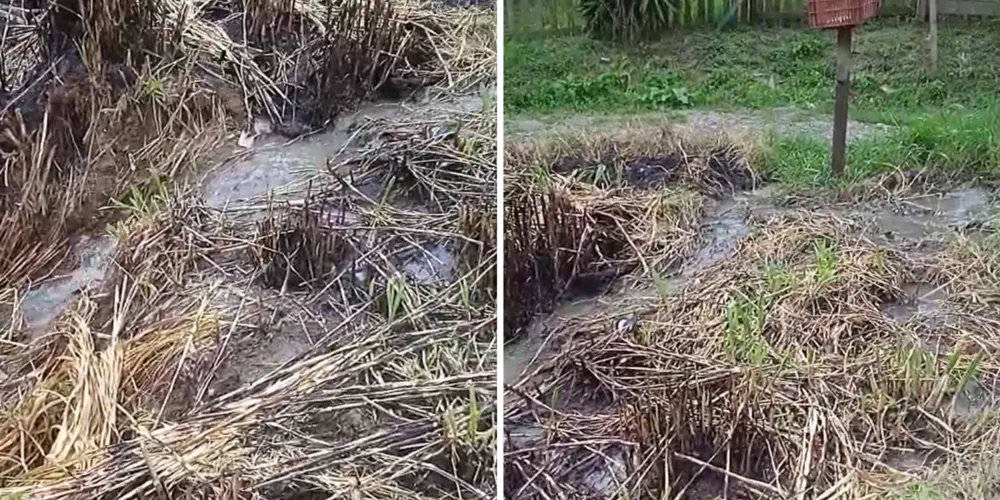Área onde a tubulação de esgoto se romepu no bairro Uvaranas