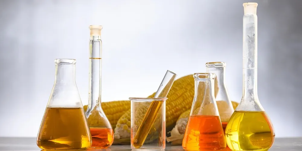 Milho tornou-se peça-chave para garantir a oferta de combustível renovável e compensar a estabilidade da produção de cana