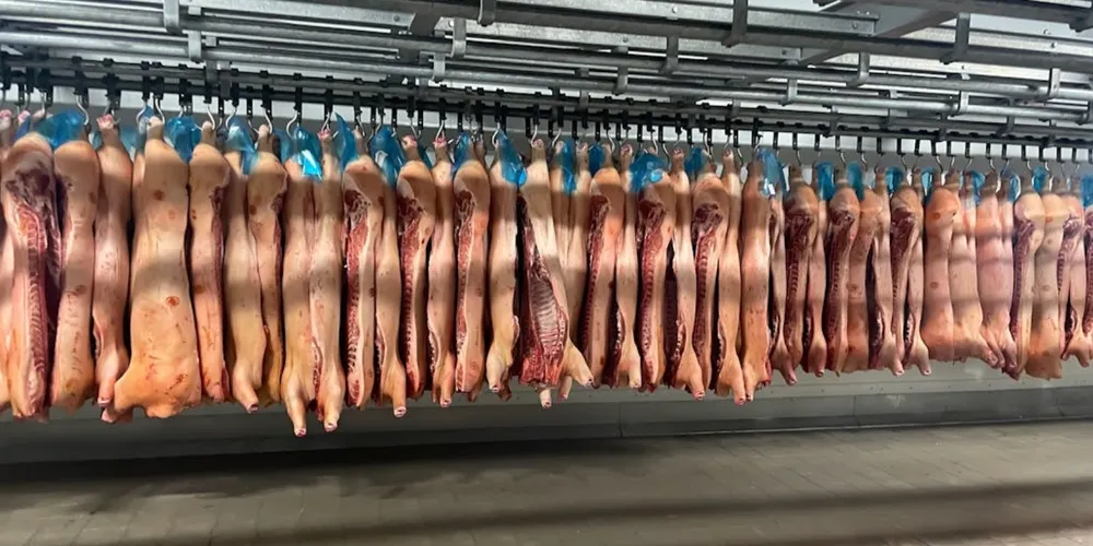 Ásia segue como o principal motor das exportações recordes registradas em 2026