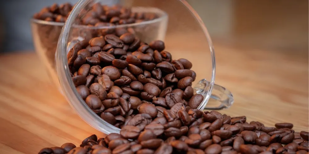 Café torrado e moído ainda é o menor segmento exportado pelo Brasil