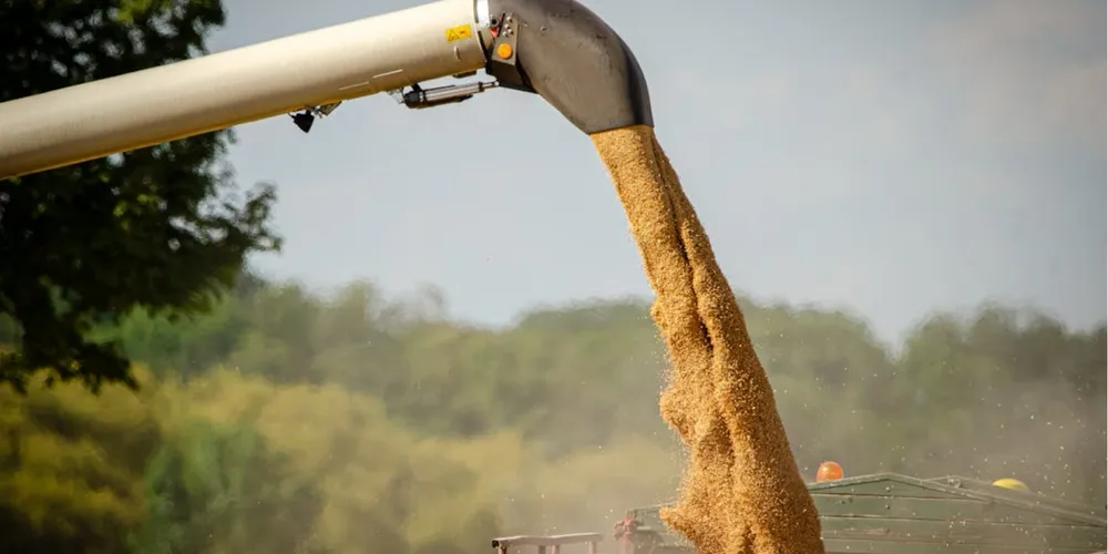 Porto de Santos lidera o line-up para o escoamento recorde da safra de soja em abril