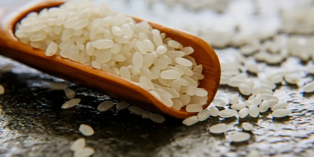 Retomada dos estoques após safra recorde permite que o Brasil dobre o volume de arroz enviado ao mercado externo no início de 2026