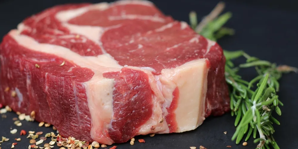 Diversificação de mercados garante faturamento recorde no início de 2026 e protege setor de oscilações na demanda chinesa