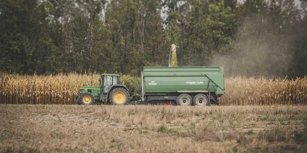 Ritmo de embarques diários em abril de 2026 é quase quatro vezes superior ao registrado no ciclo anterior