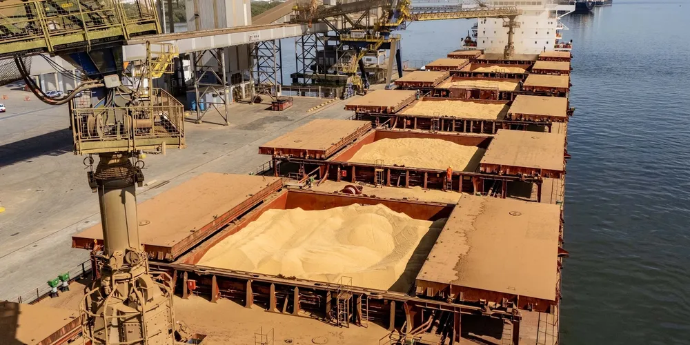 Porto de Paranaguá, no Paraná, é um dos principais corredores logísticos para o escoamento da safra recorde de soja brasileira
