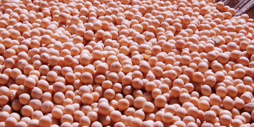 Expectativa é que o mês de abril consolide um crescimento de dois dígitos nas exportações de soja e farelo