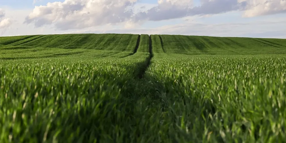 Impasse entre a federação e o governo estadual sobre o preço das terras pode travar a definição dos valores de referência para o imposto rural deste ano