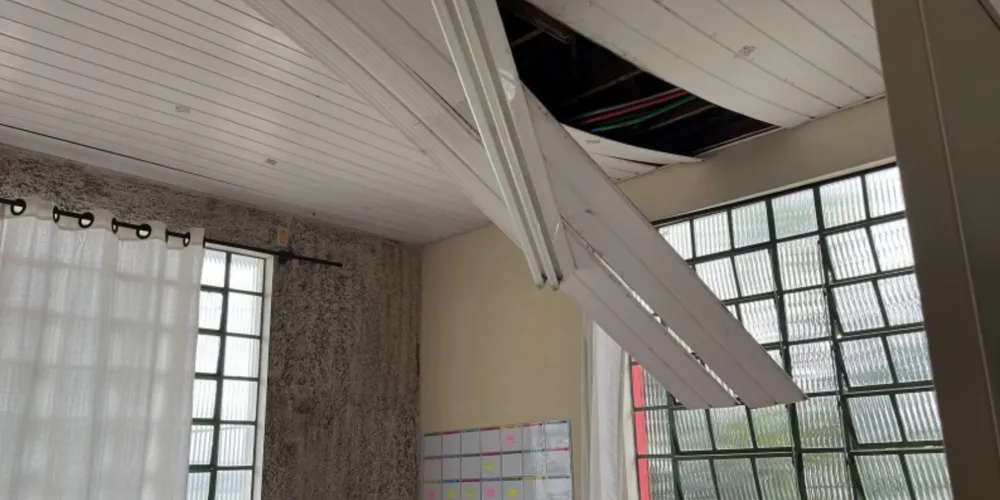 Tutor do animal se comprometeu a arcar com os custos