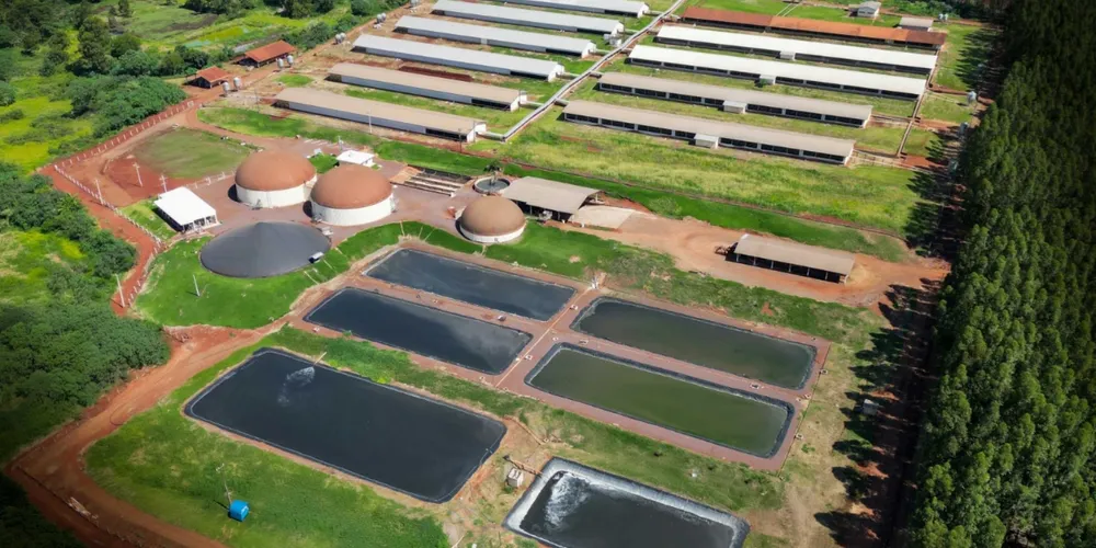 Unidades de produção de biogás no Paraná transformam resíduos agropecuários em biometano, gerando energia limpa e reduzindo a dependência de combustíveis fósseis
