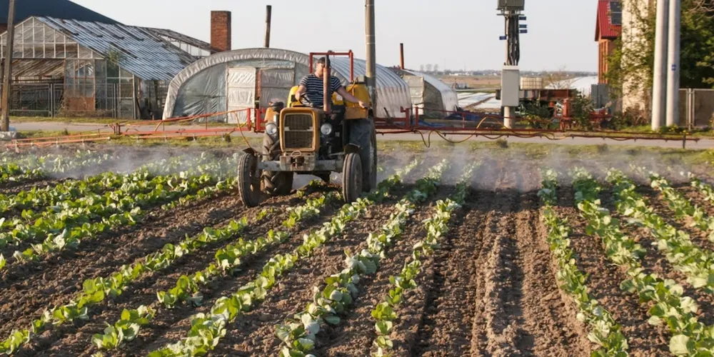 Governo planeja usar o Plano Safra para evitar que crises internacionais encareçam o custo de produção dos alimentos no Brasil