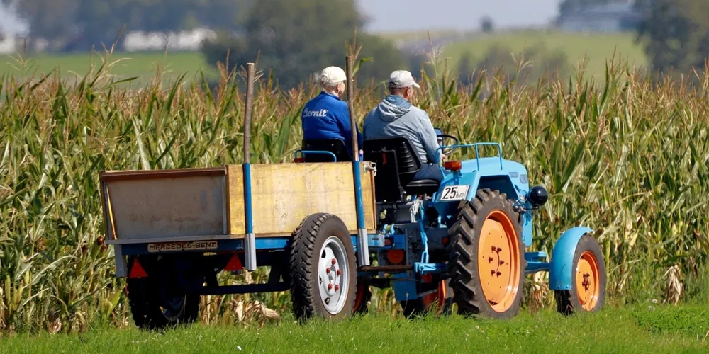 Pequenos produtores rurais e assentados da reforma agrária agora podem renegociar dívidas através do Desenrola 2.0 até dezembro